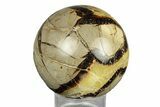 Polished Septarian Sphere - Madagascar #260041-1